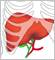 Section Icon