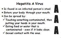 Sample wallet card for hepatitis A
