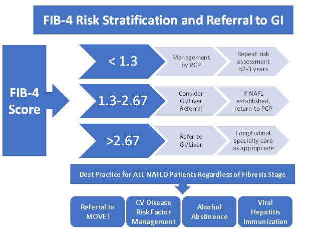 Figure 2:� FIB-4 Risk Stratification and Referral to GI