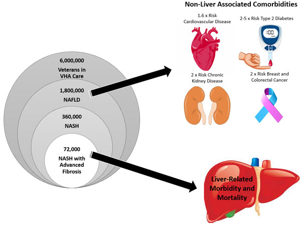 Figure 1: Estimated prevalence of NAFLD in VA, and increased risk of comorbidities among patients with NAFLD. (Veterans in care is estimated from VA data). Figure source: VA NAFLD Considerations