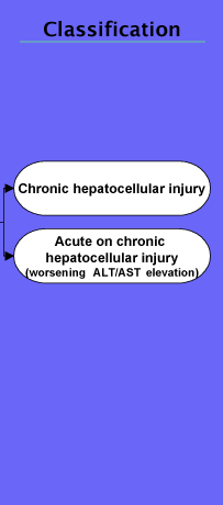 The Classification stage with options for: Chronic hepatocellular injury; or Acute on chronic hepatocellular injury (worsening ALT/AST elevation).