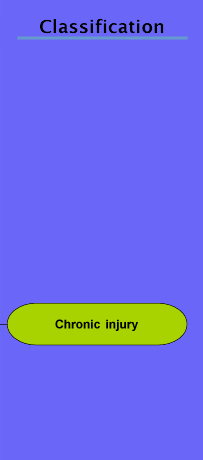 The Classification stage with Chronic injury highlighted.