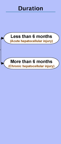 The Duration stage shows options for: Less than 6 months (Acute hepatocellular injury); or More than 6 months (Chronic hepatocellular injury).