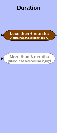 The Duration stage with Less than 6 months (Acute hepatocellular injury) highlighted