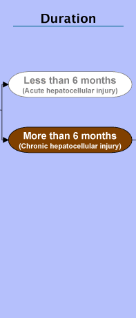 The Duration stage with More than 6 months (Chronic hepatocellular injury) highlighted